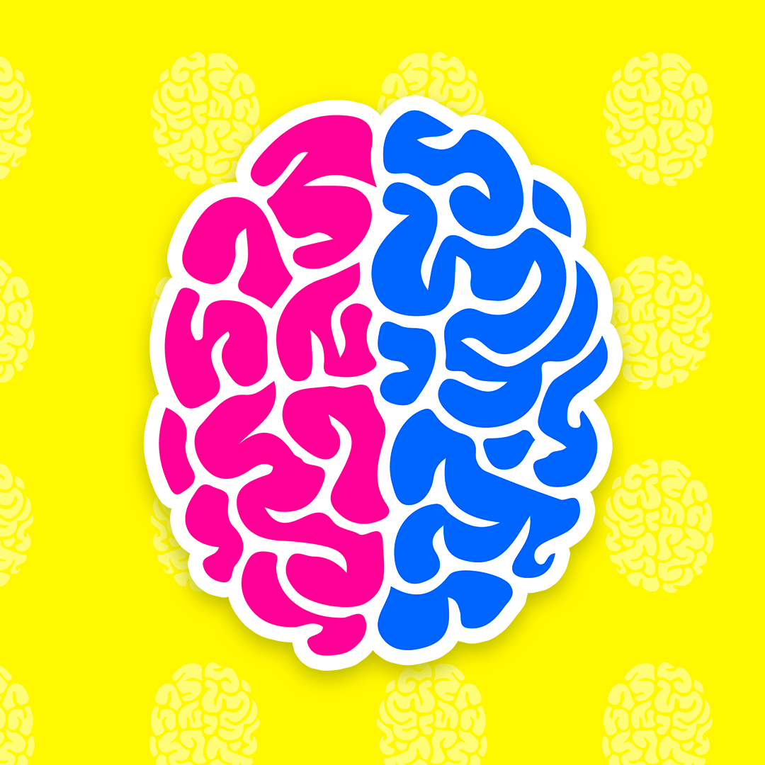 Brainy Quiz